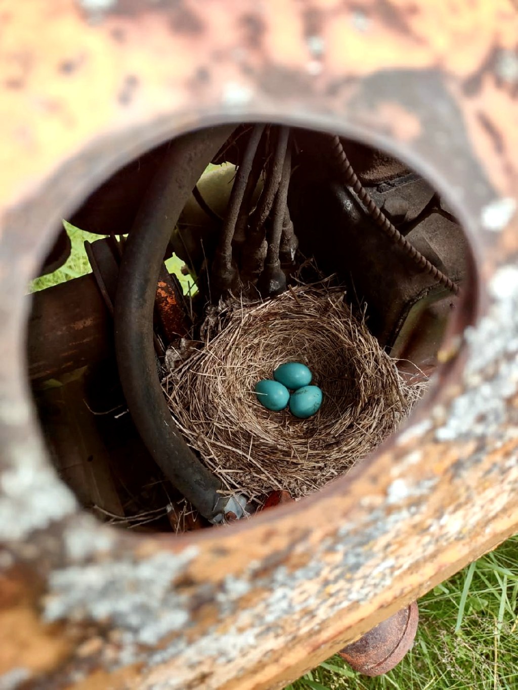 The Charming Ordinary