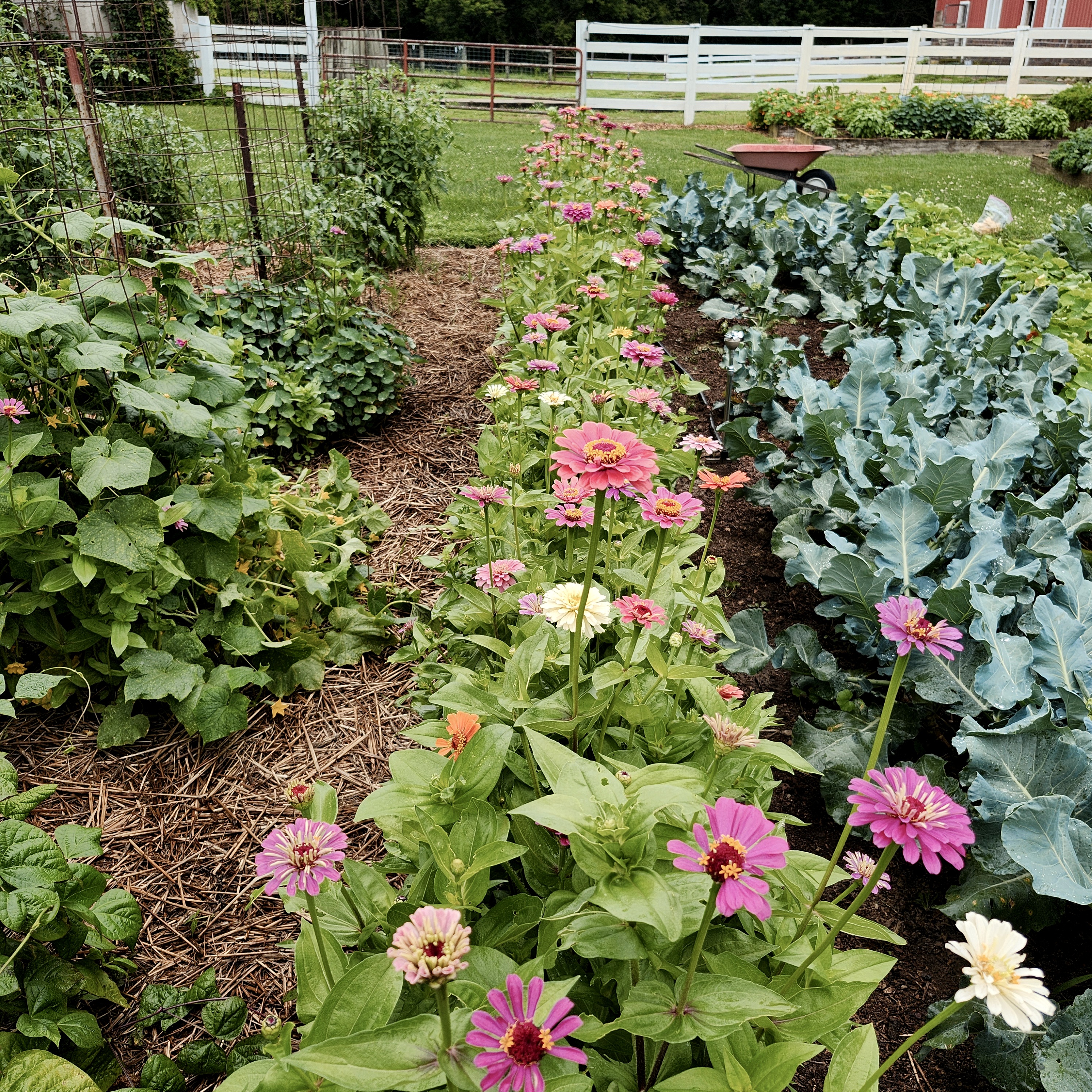 The Garden