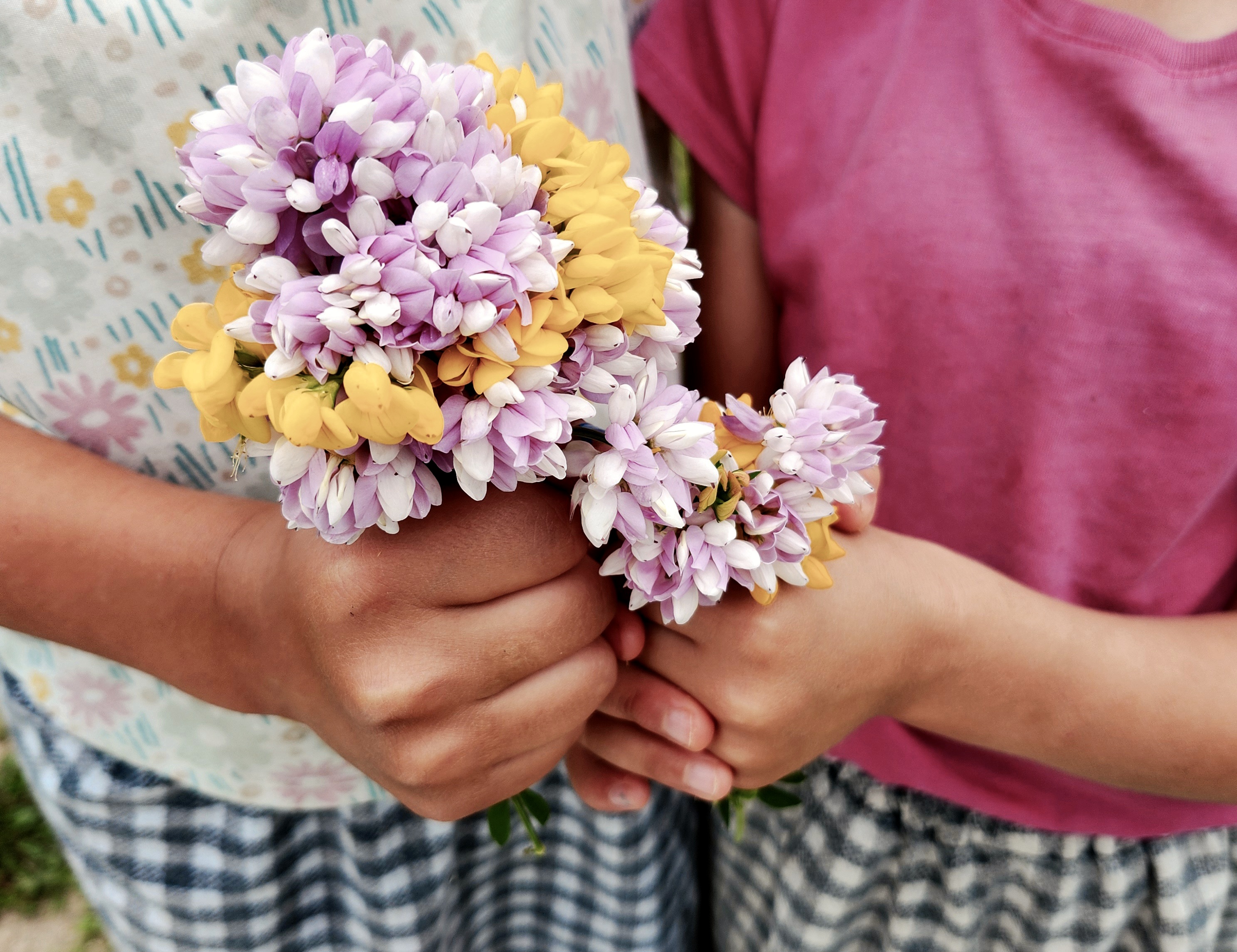 Handpicked Love
