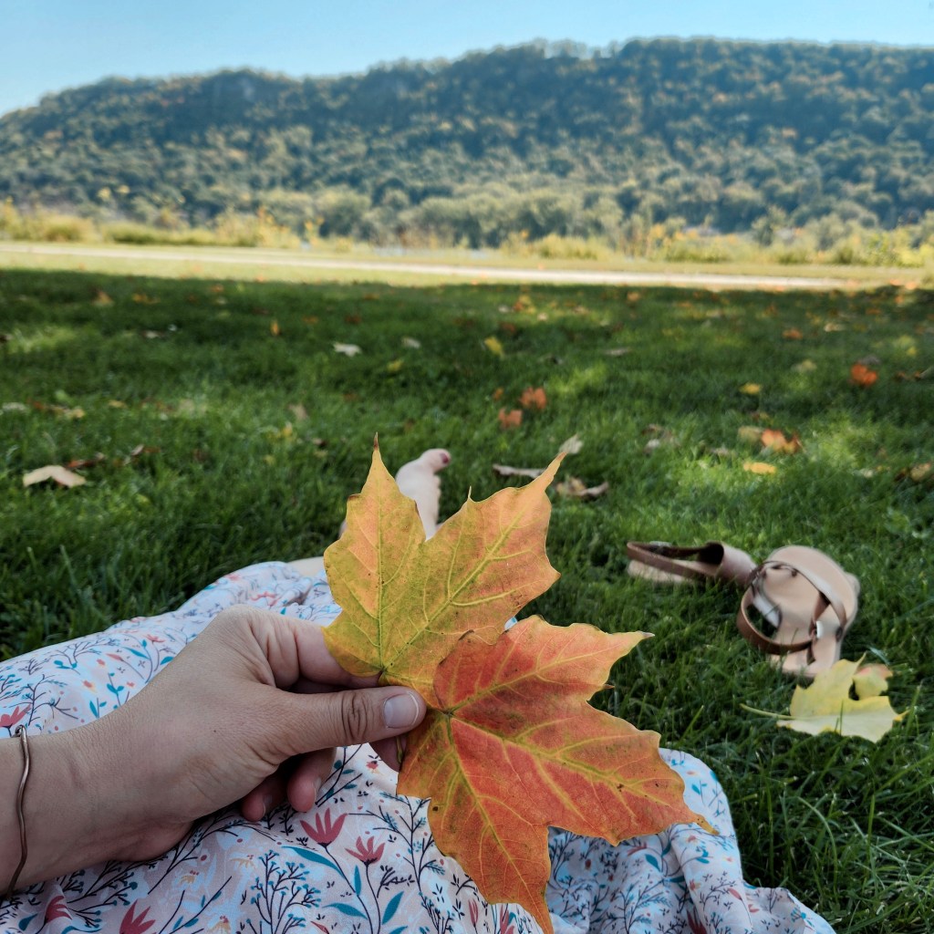 A Midwestern Mingling