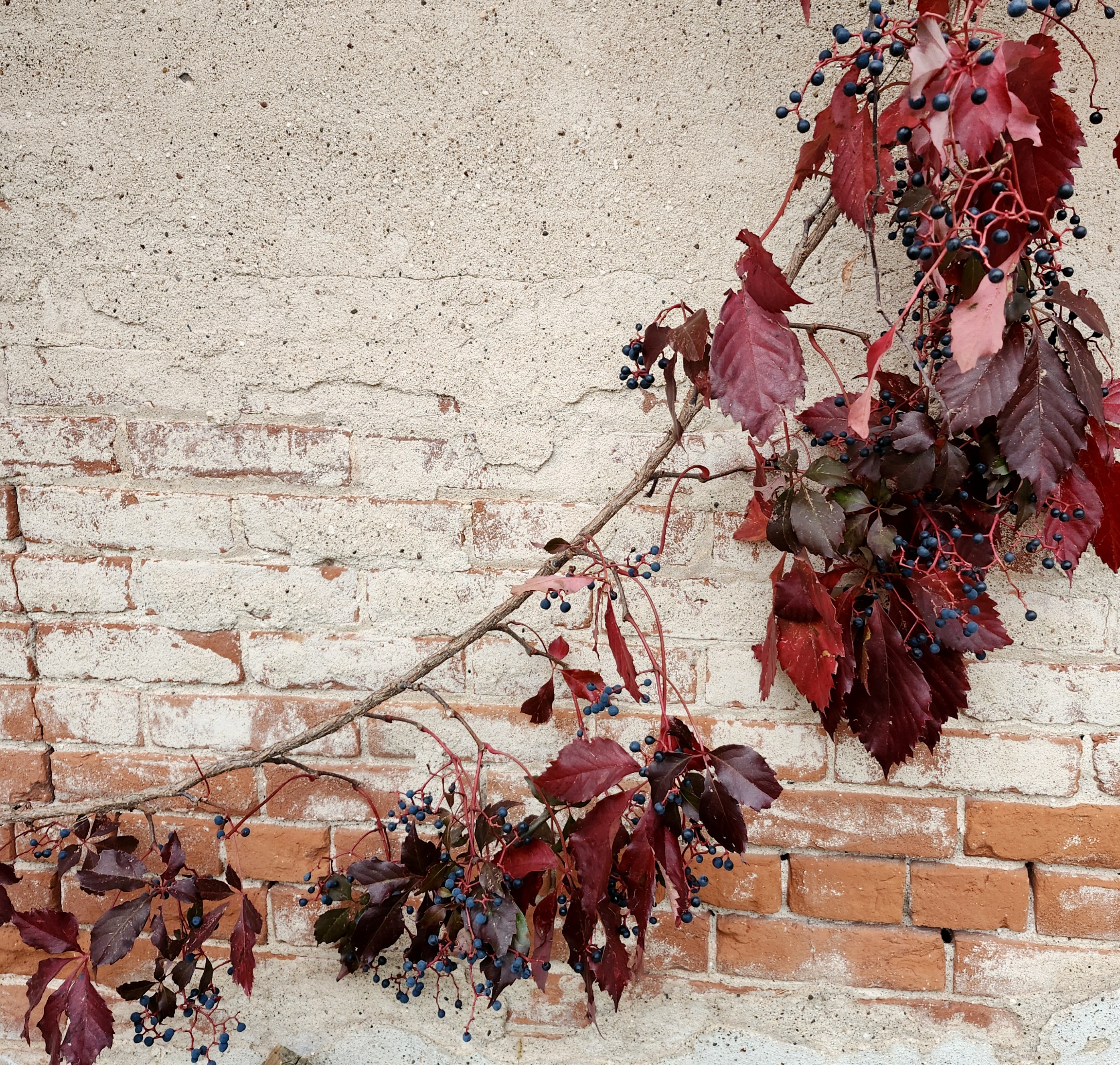 Ode to Autumn