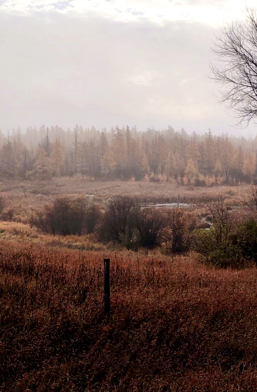 It happens to be&nbsp;….