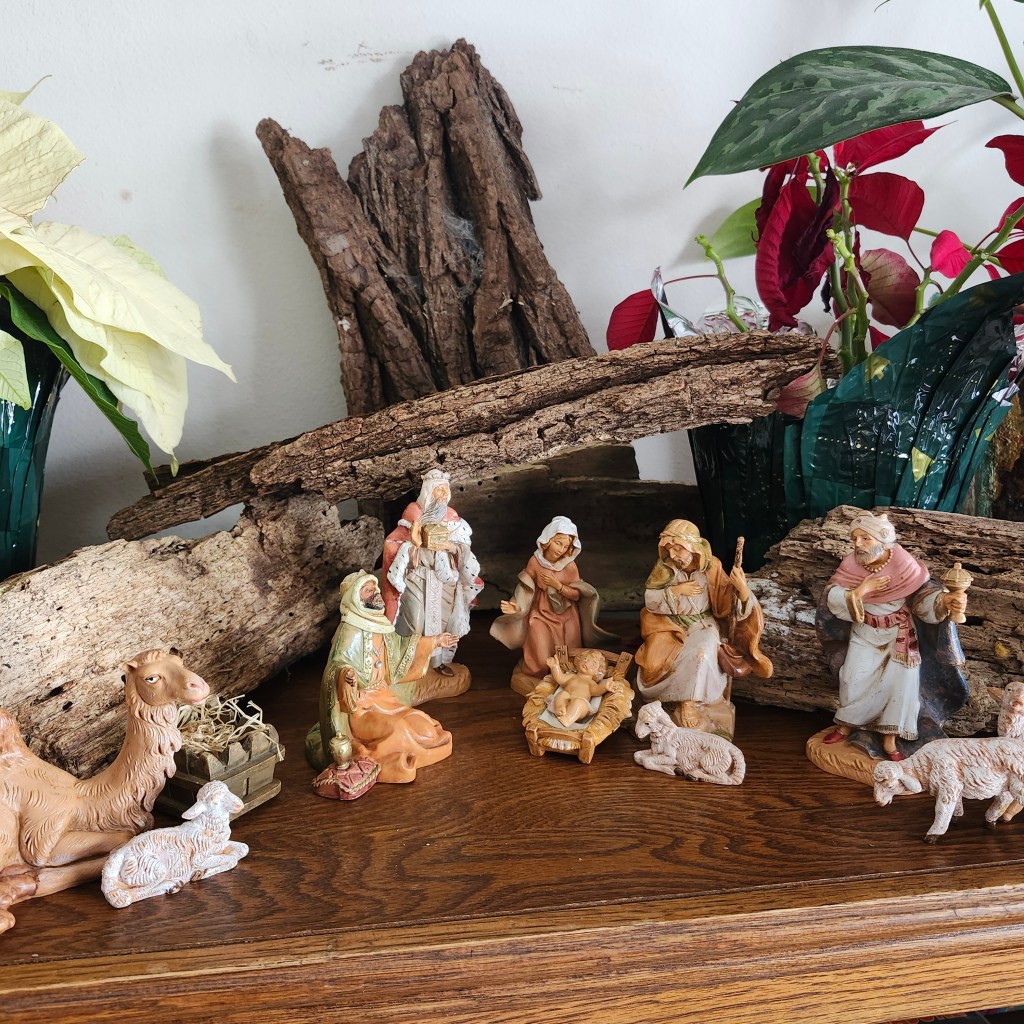Nativity: The Continuing&nbsp;Story